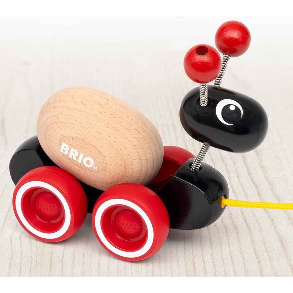 BRIO 30348 Ant with Rolling Egg 2pc - Image 5