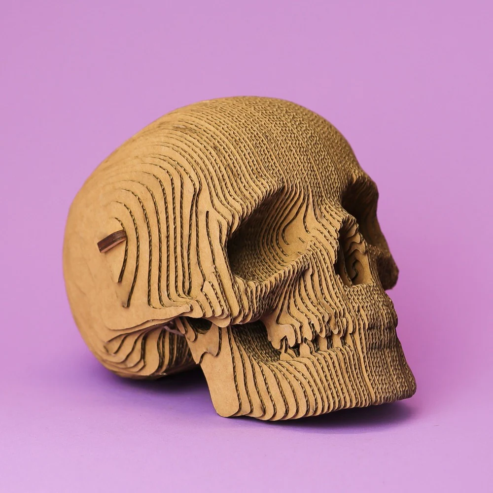 Cartonic Skull 3D Puzzle - Image 3