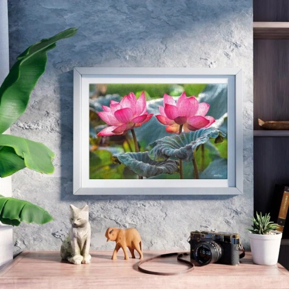 Cherry Pazzi 20012 Pink Lotus Flowers 500pc Jigsaw Puzzle - Image 4