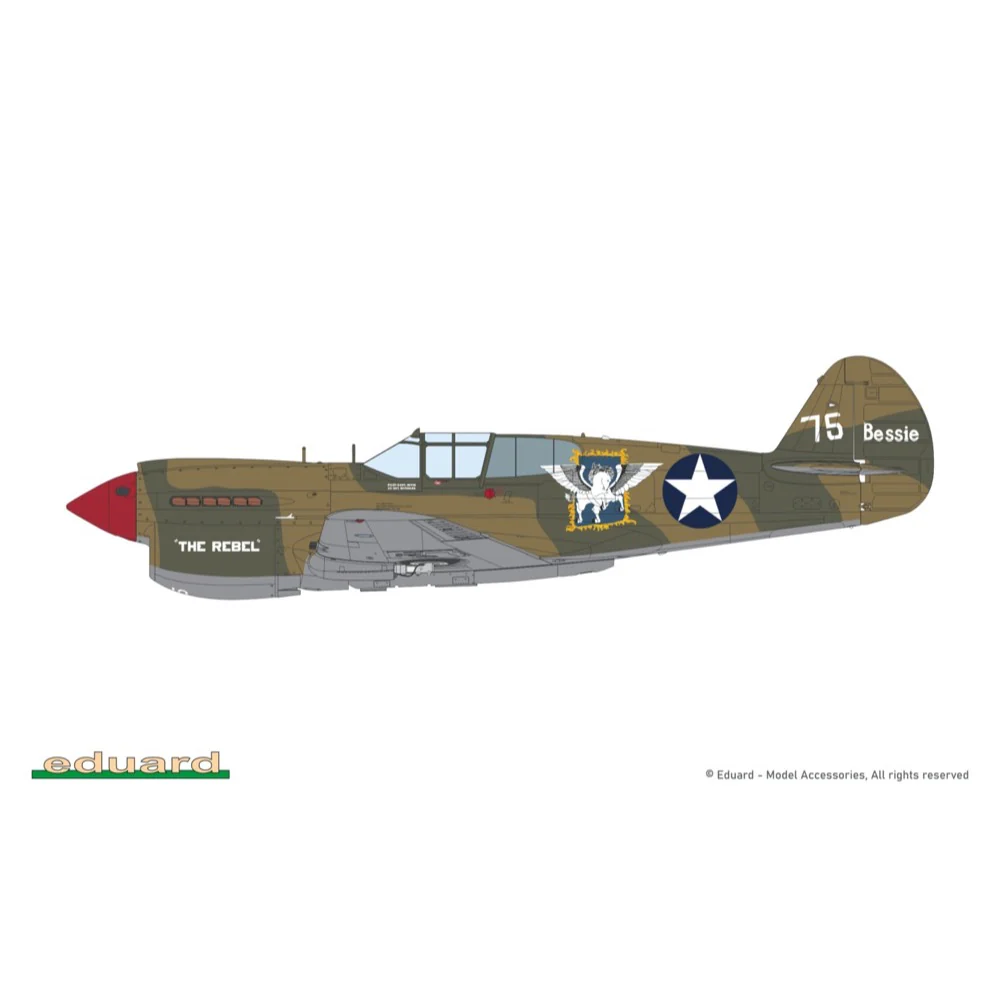 Eduard 11185 1/48 PACIFIC STAR Curtiss P-40E Warhawk Dual Combo The Limited edition - Image 3