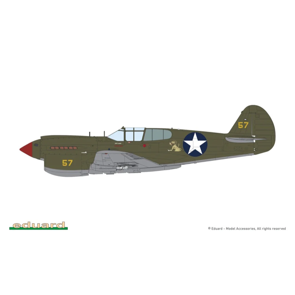 Eduard 11185 1/48 PACIFIC STAR Curtiss P-40E Warhawk Dual Combo The Limited edition - Image 8