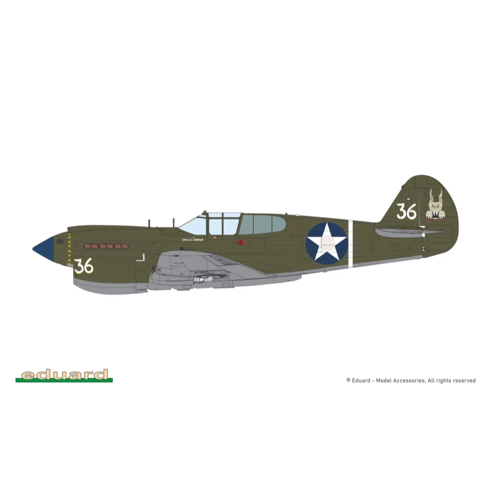 Eduard 11185 1/48 PACIFIC STAR Curtiss P-40E Warhawk Dual Combo The Limited edition - Image 9