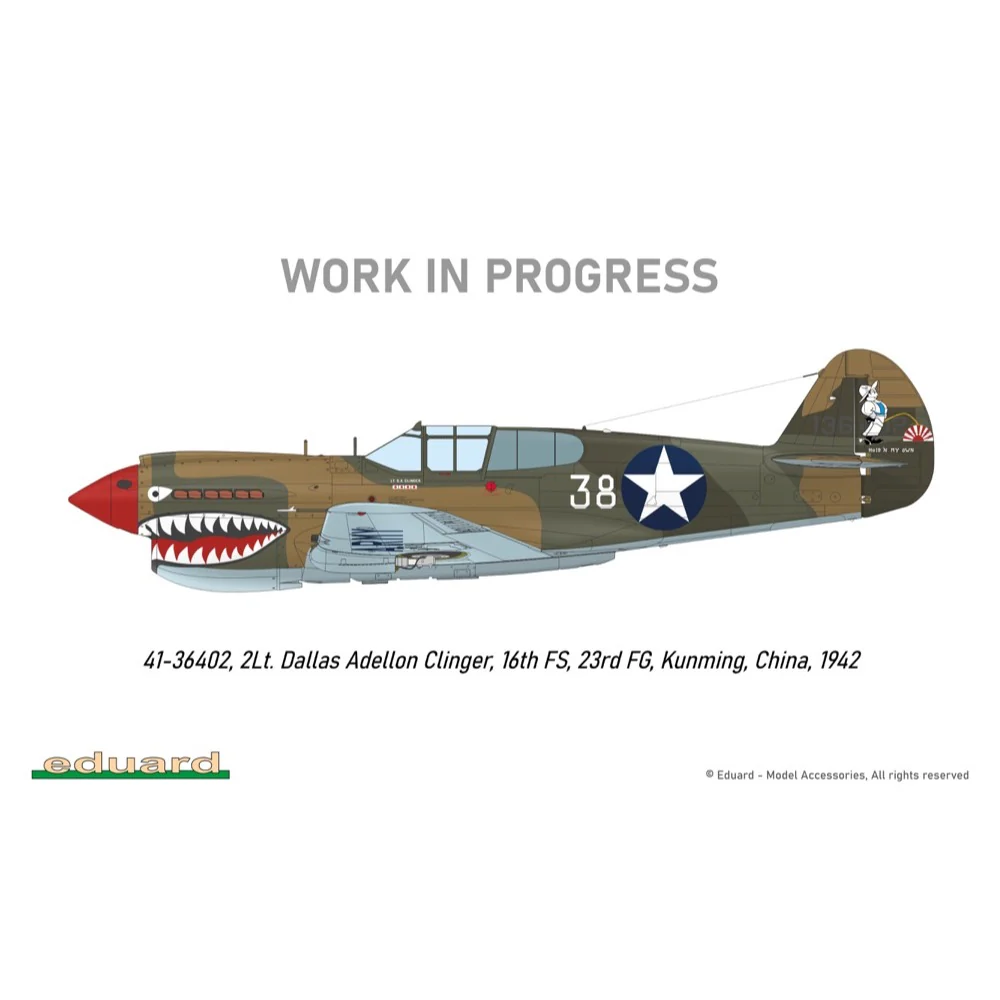 Eduard R0023 1/48 P-40E Royal Class Dual Combo - Image 21