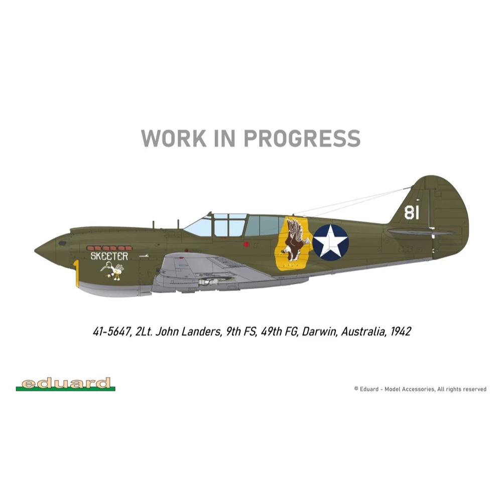 Eduard R0023 1/48 P-40E Royal Class Dual Combo - Image 23