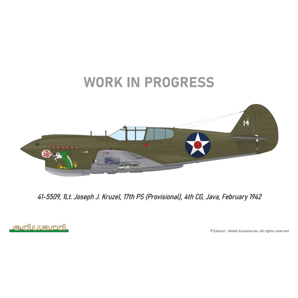 Eduard R0023 1/48 P-40E Royal Class Dual Combo - Image 24