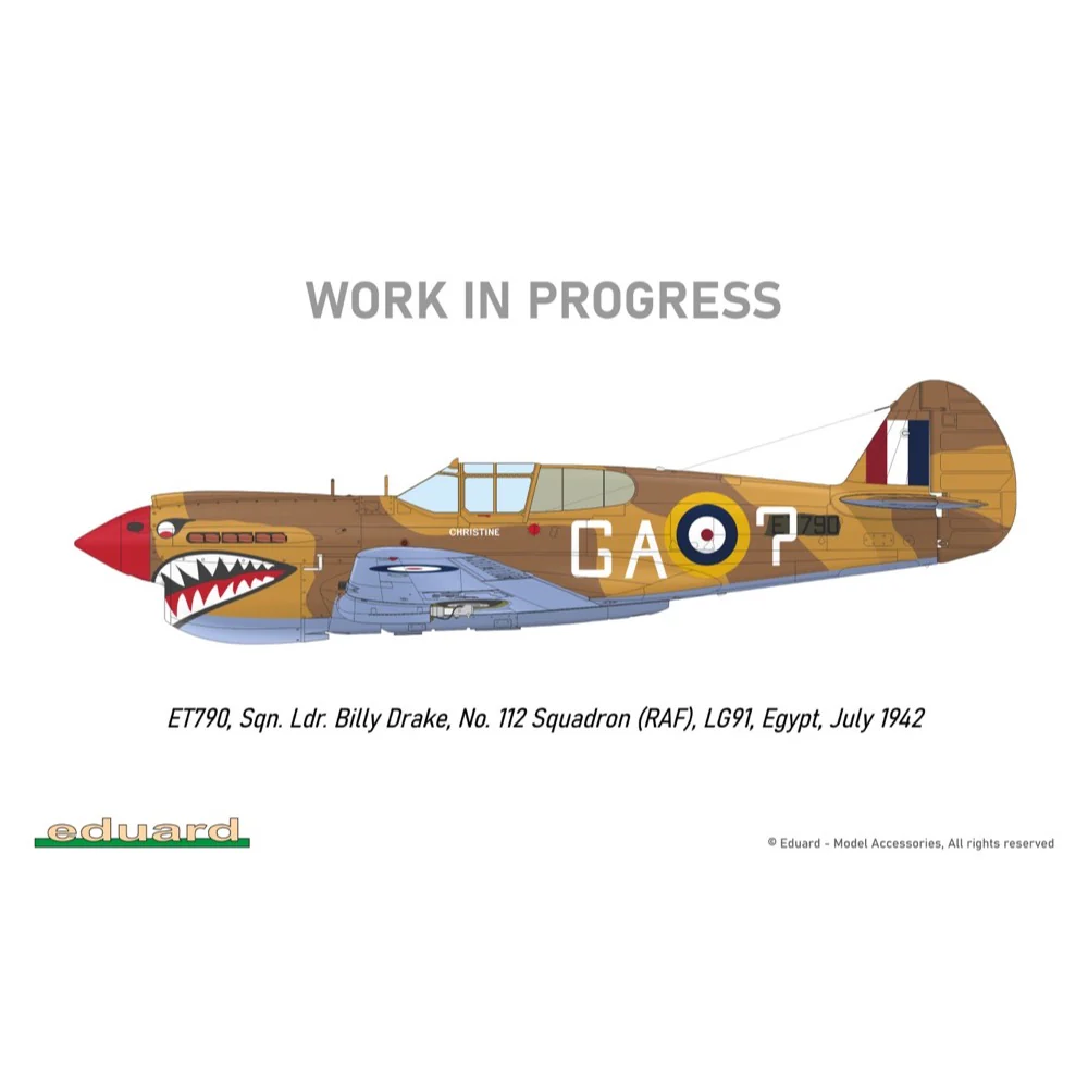 Eduard R0023 1/48 P-40E Royal Class Dual Combo - Image 29