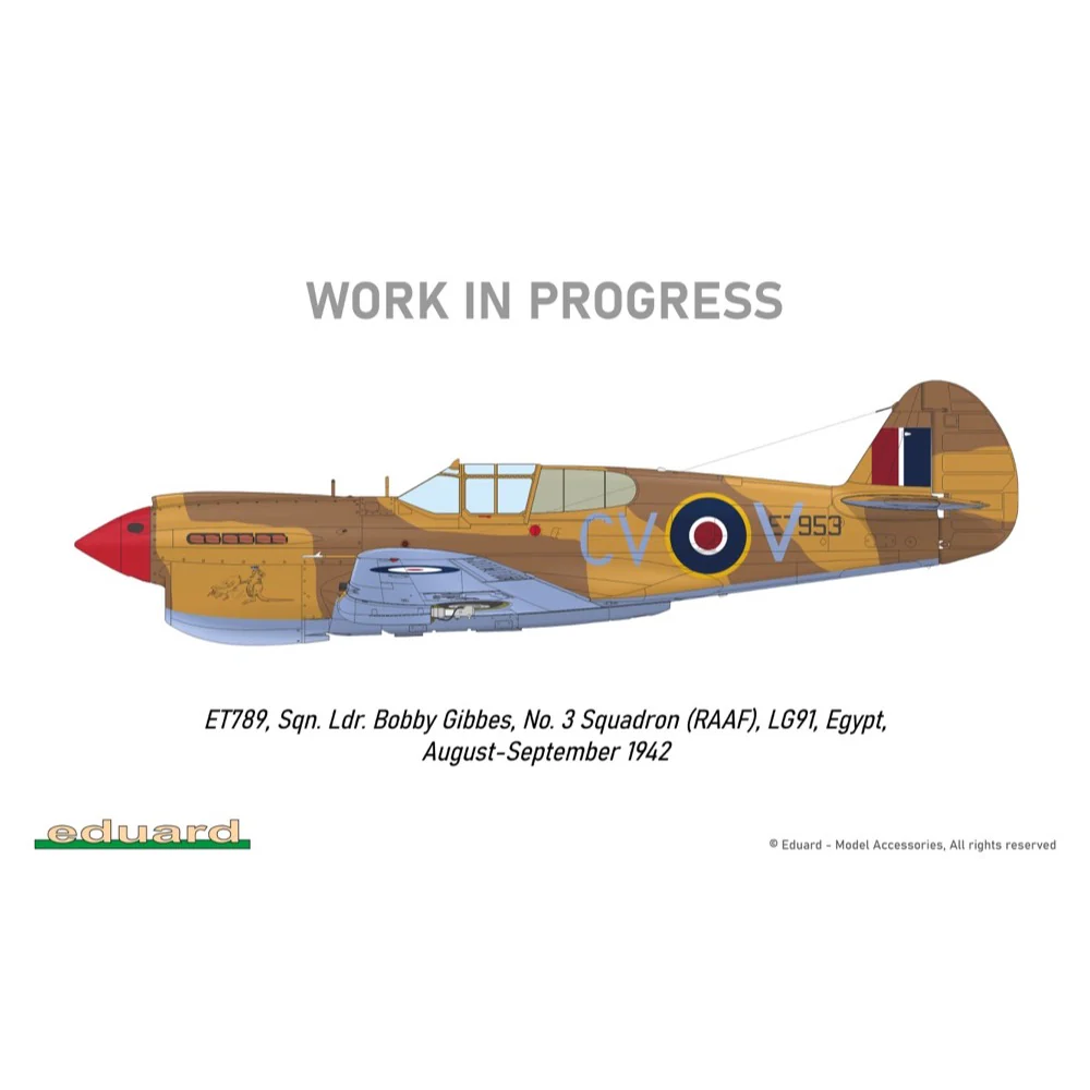 Eduard R0023 1/48 P-40E Royal Class Dual Combo - Image 30