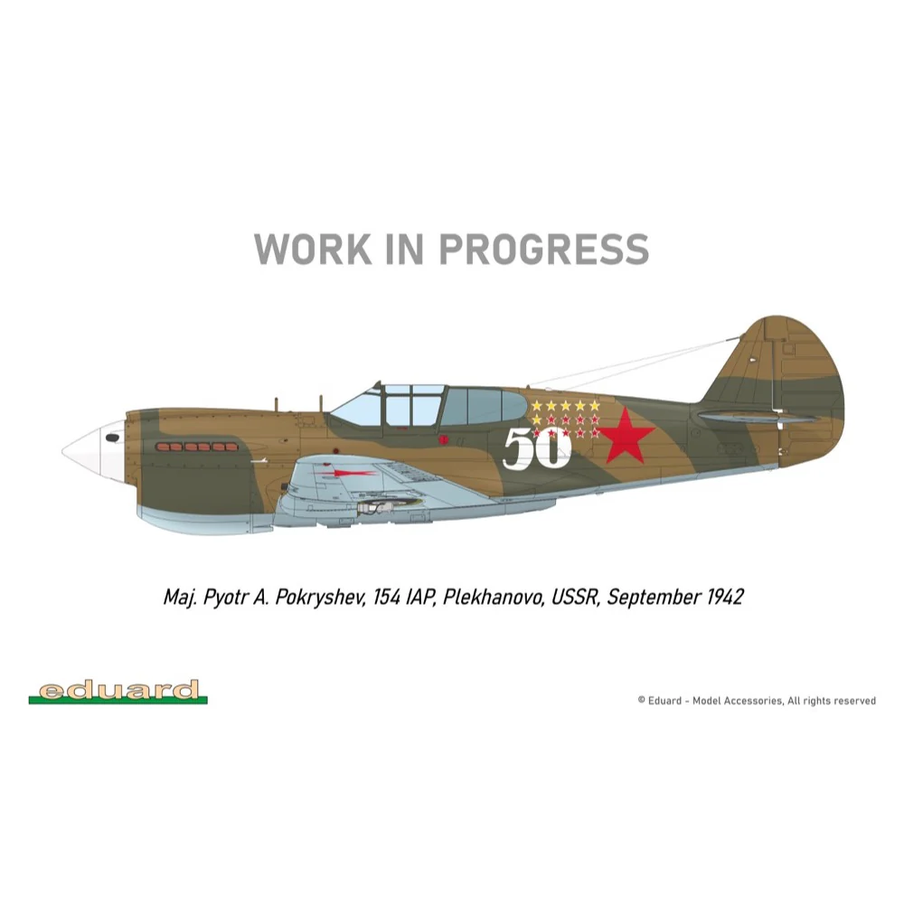Eduard R0023 1/48 P-40E Royal Class Dual Combo - Image 31