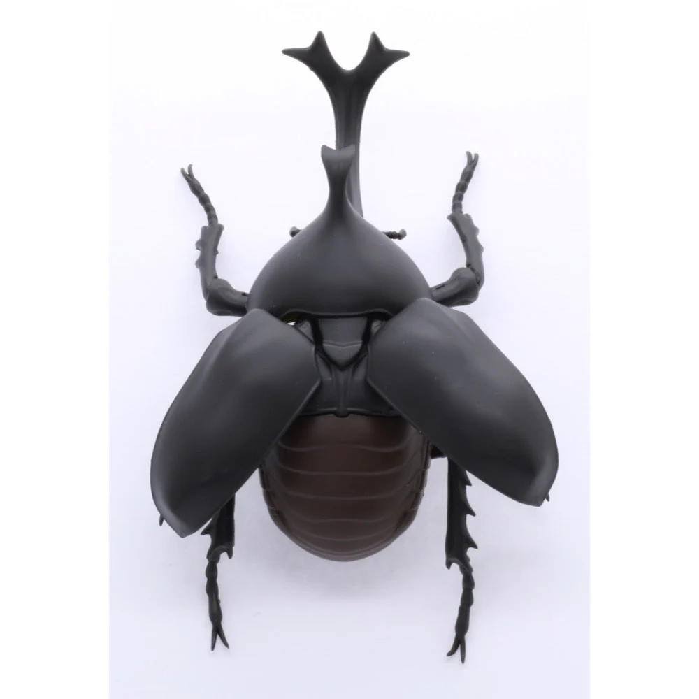 Fujimi Biology Edition Beetle FI No.21 - Image 2