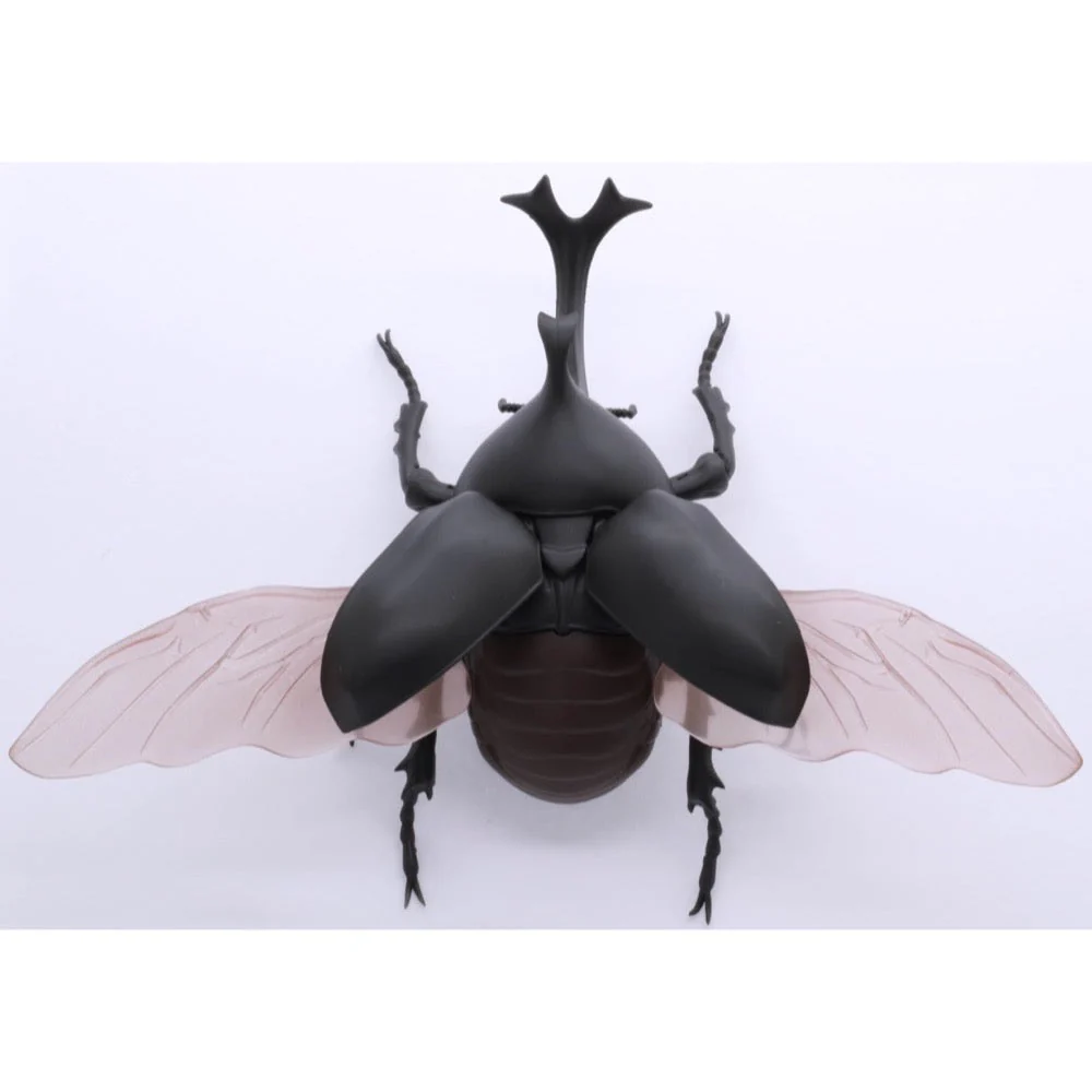 Fujimi Biology Edition Beetle FI No.21 - Image 3
