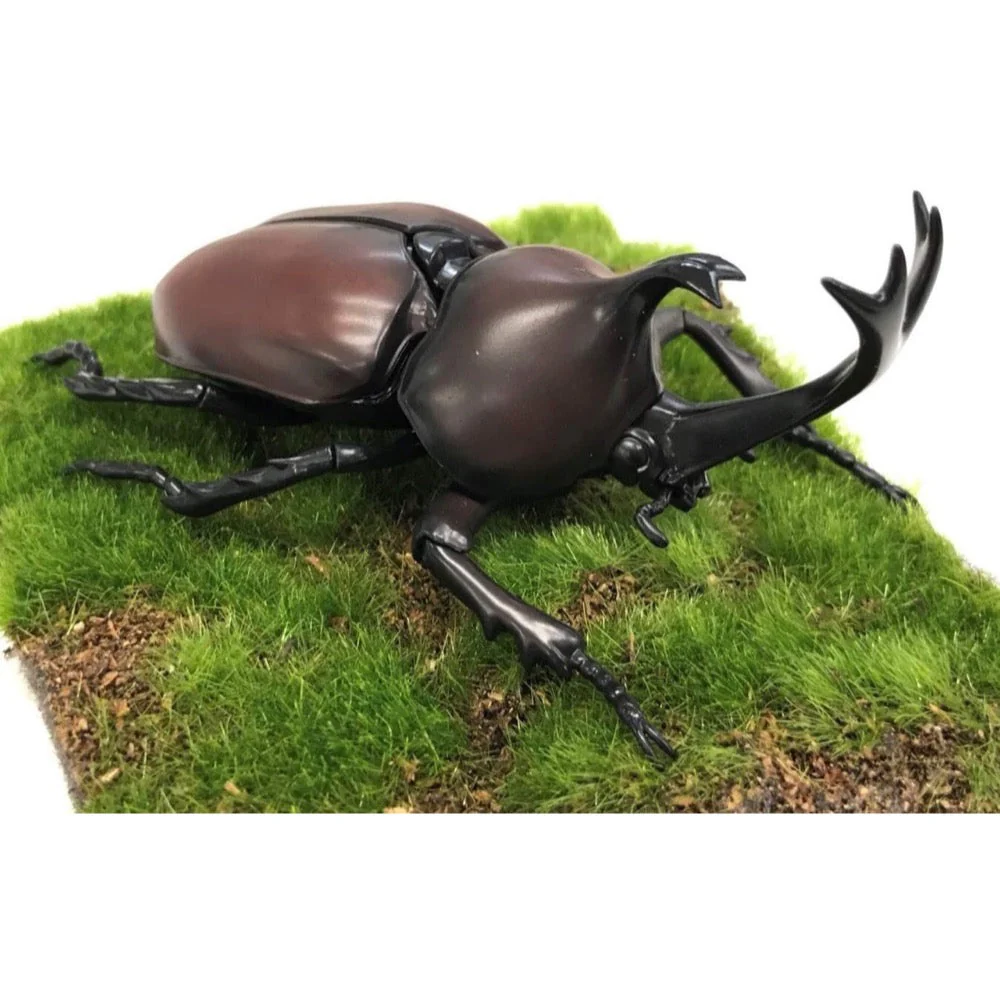 Fujimi Biology Edition Beetle FI No.21 - Image 4