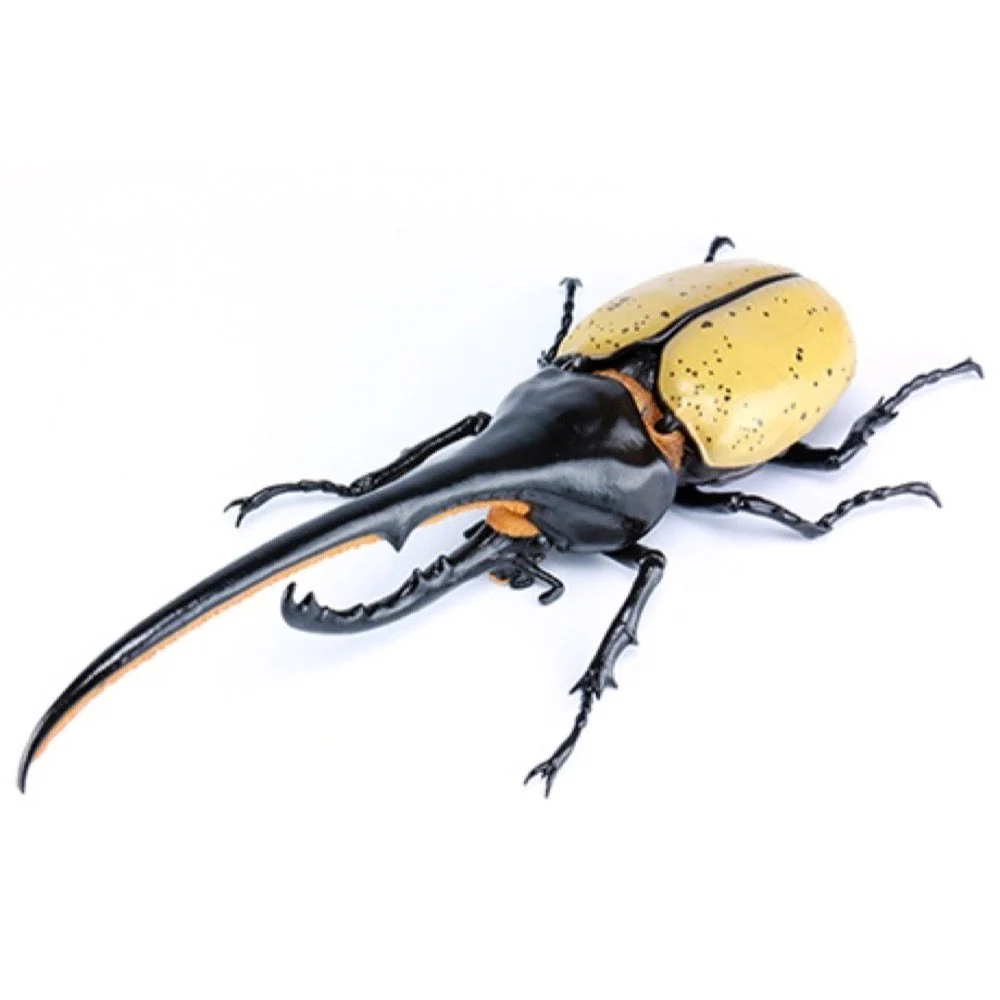 Fujimi Biology Edition Dynastes Hercules FI No.26 - Image 2