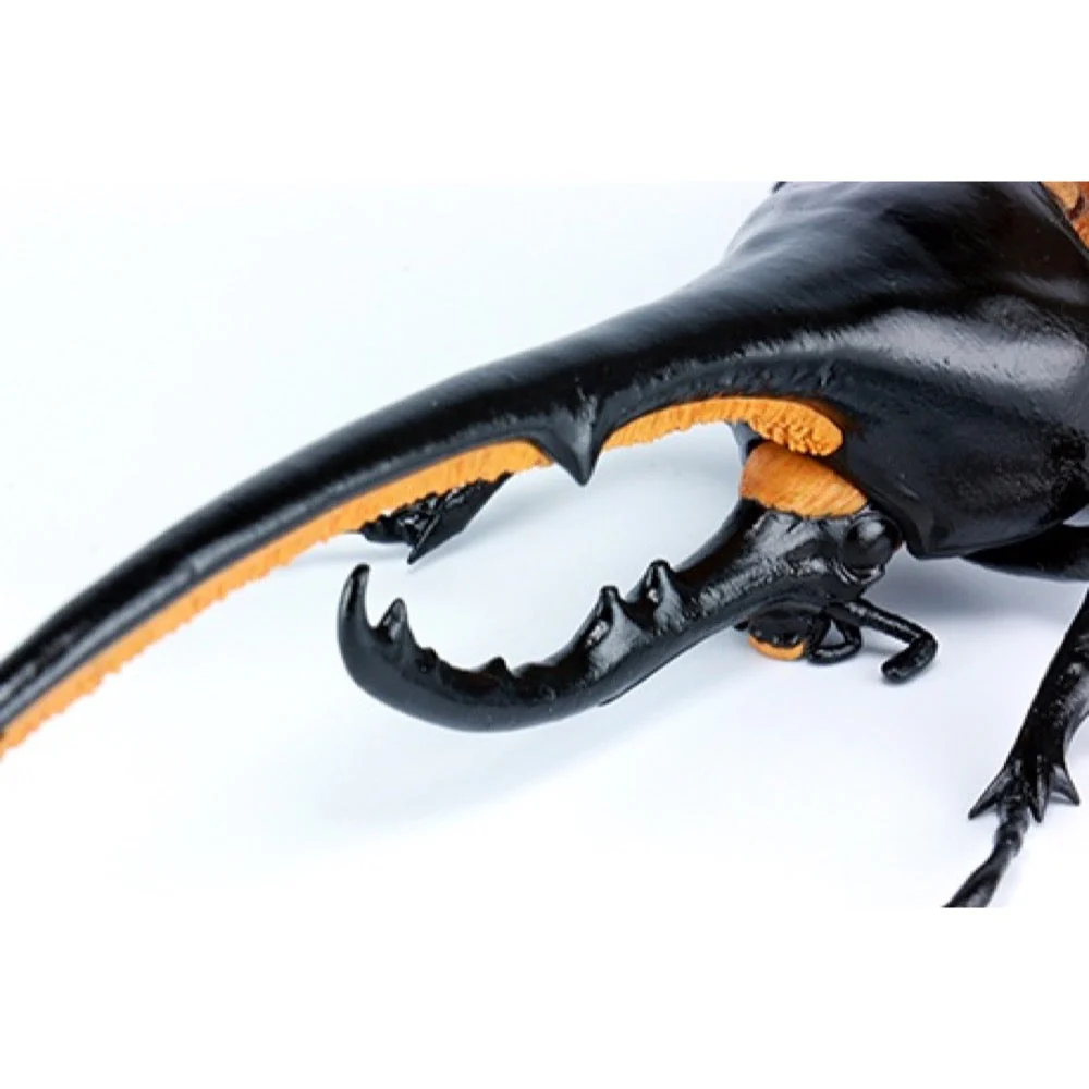 Fujimi Biology Edition Dynastes Hercules FI No.26 - Image 5