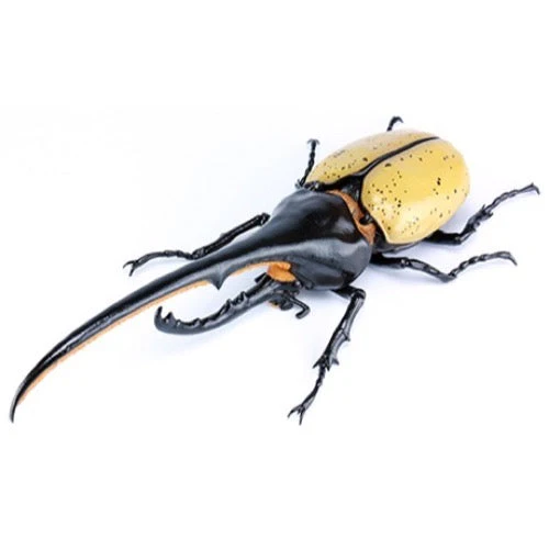 Fujimi Biology Edition Dynastes Hercules You Morinaga Explanatory notes and Instructions ver. - Image 2