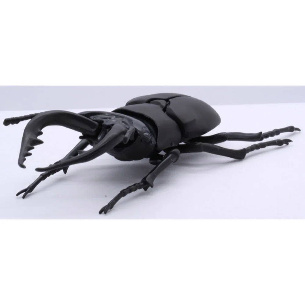 Fujimi Biology Edition Stag Beetle FI No.22 - Image 2