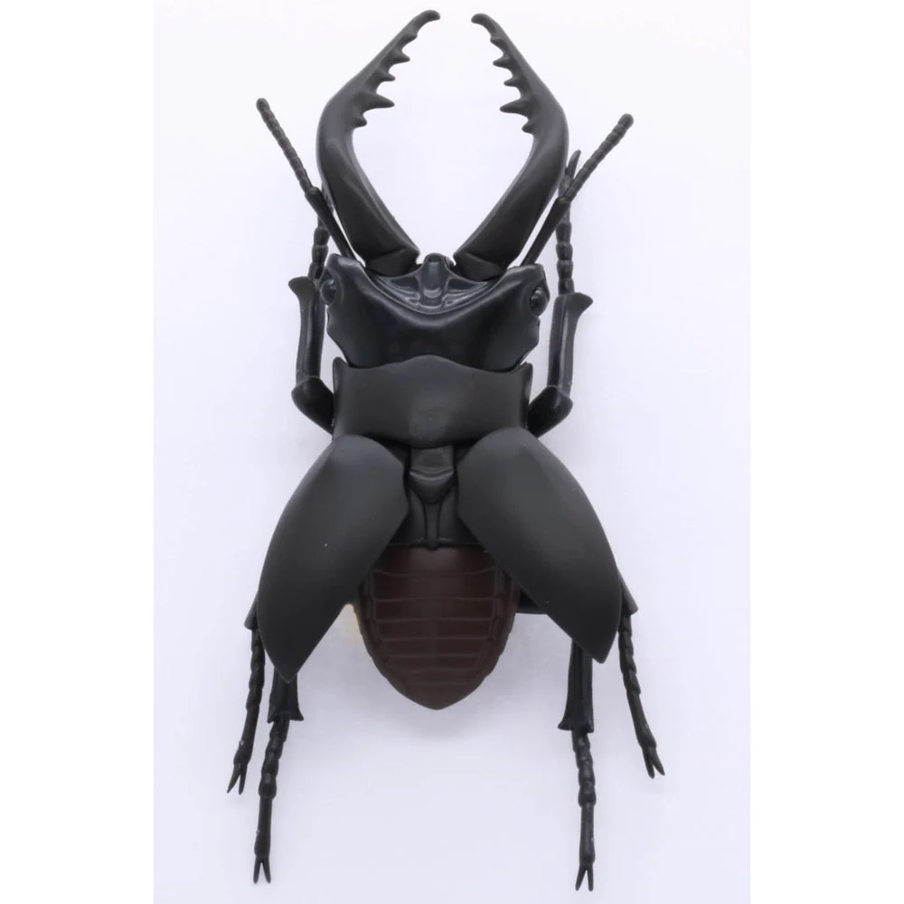 Fujimi Biology Edition Stag Beetle FI No.22 - Image 3