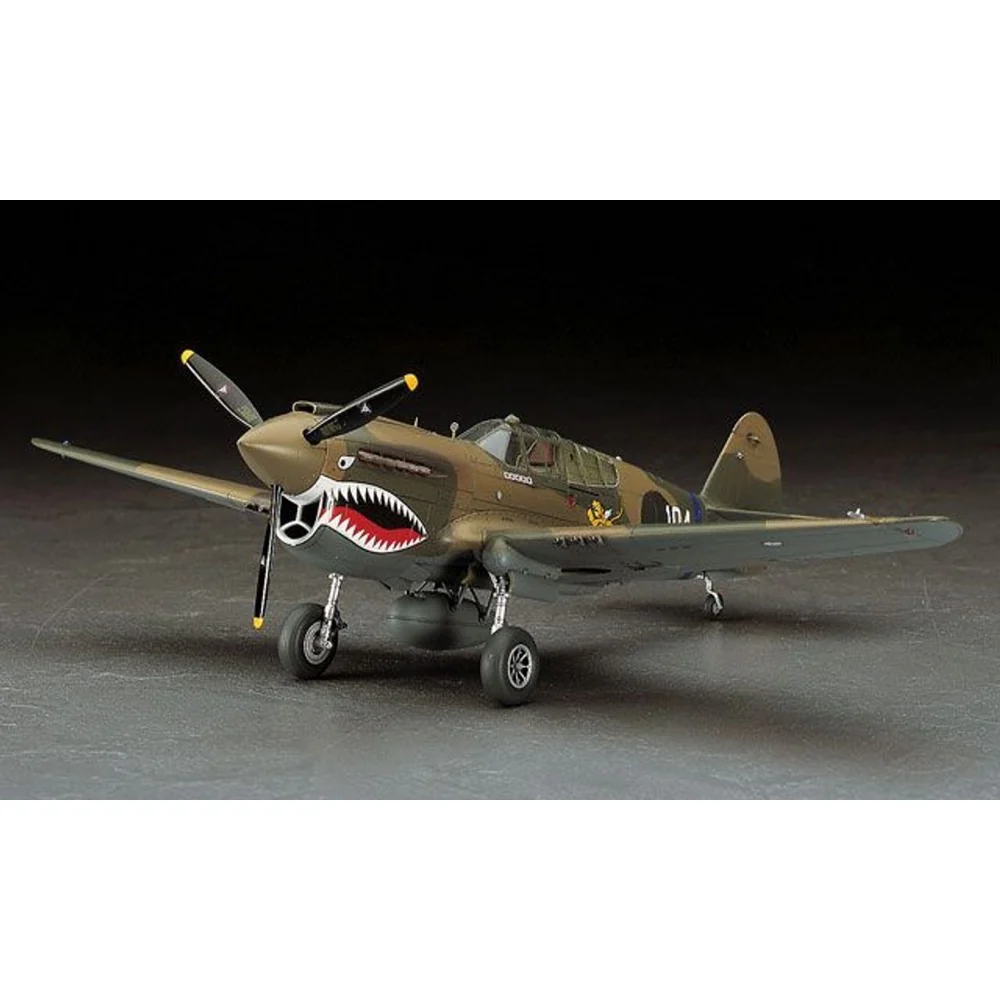 Hasegawa 09086 1/48 P-40E Warhawk - Image 4