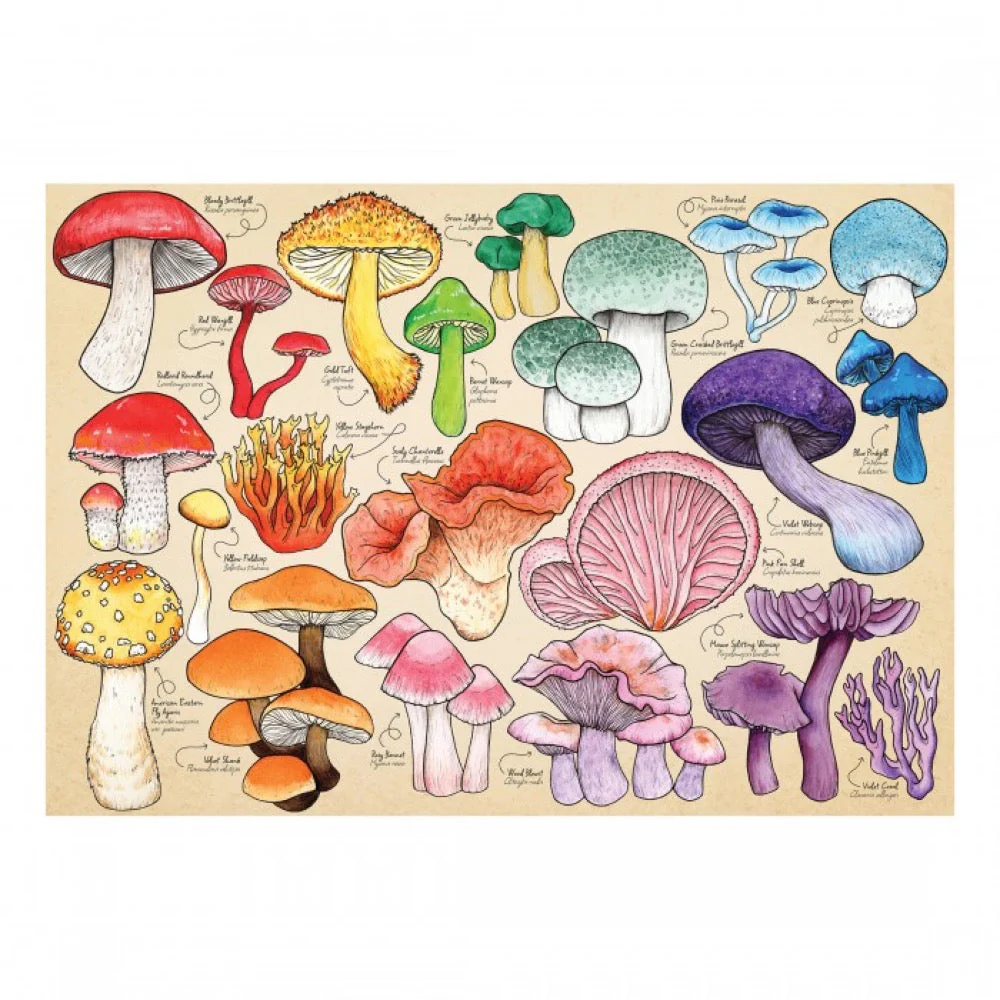 House of Puzzles Mushroom Mania 1000pc Jigsaw Puzzle - Image 2