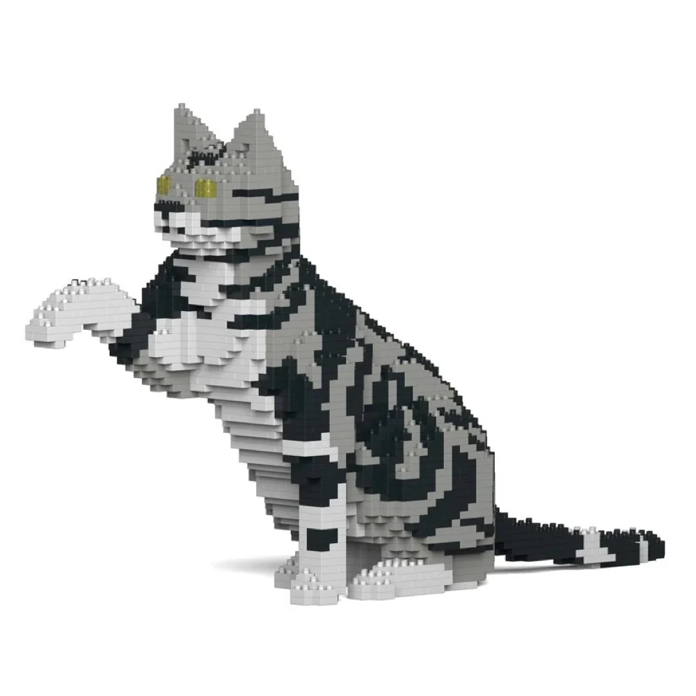 Jekca ST19ASC03-M01 American Shorthair Cat 03S - Image 3