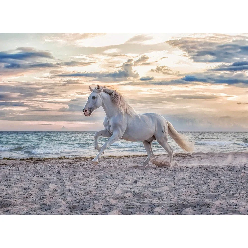 Ravensburger 00222-2 Evening Gallop 500pc Jigsaw Puzzle - Image 2