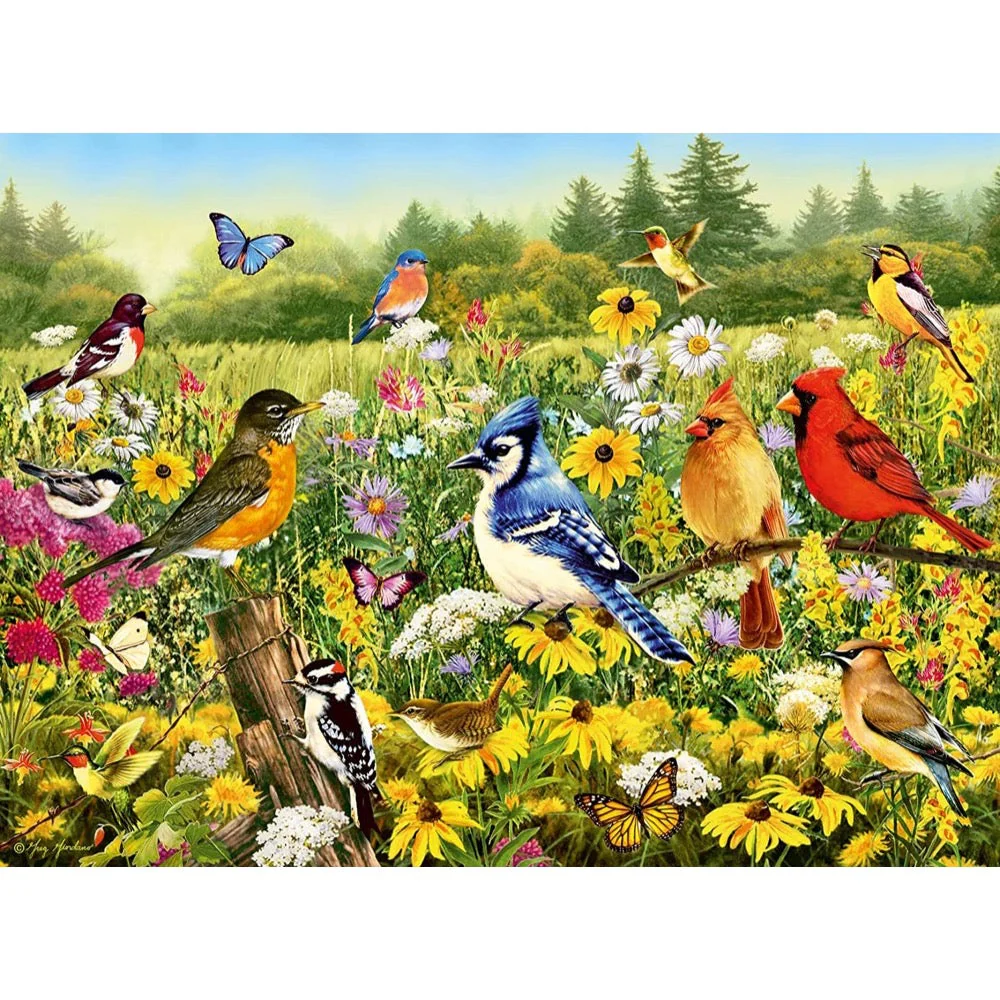 Ravensburger 00336-6 Birds In The Meadow 500pc Jigsaw Puzzle - Image 2