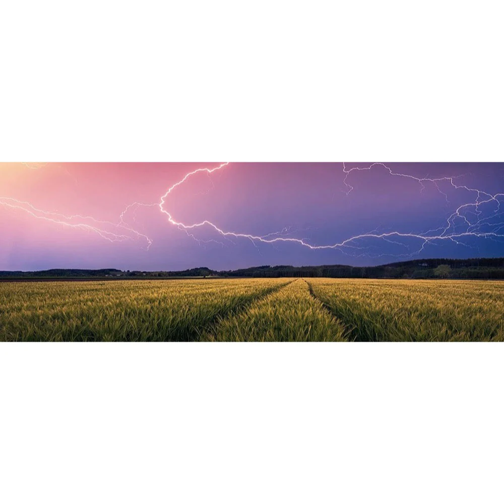 Ravensburger 00685-5 Summer Thunderstorm 500pc Jigsaw Puzzle - Image 2