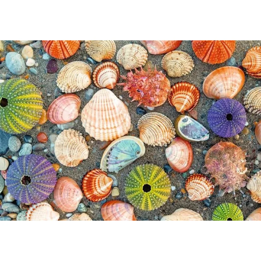 Ravensburger 01326-6 By The Seashore 300pc Jigsaw Puzzle - Image 2