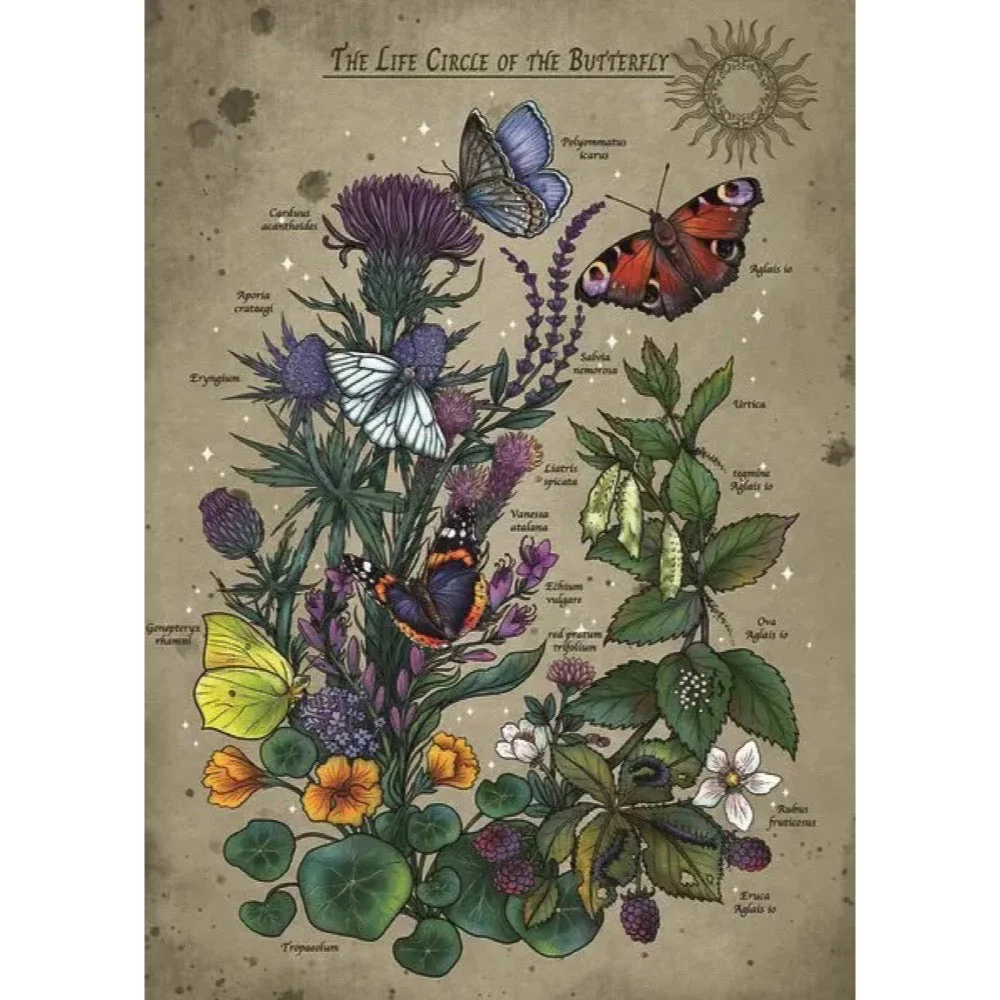 Ravensburger 01435-5 Lifecircle Butterfly 1000pc Jigsaw Puzzle - Image 2