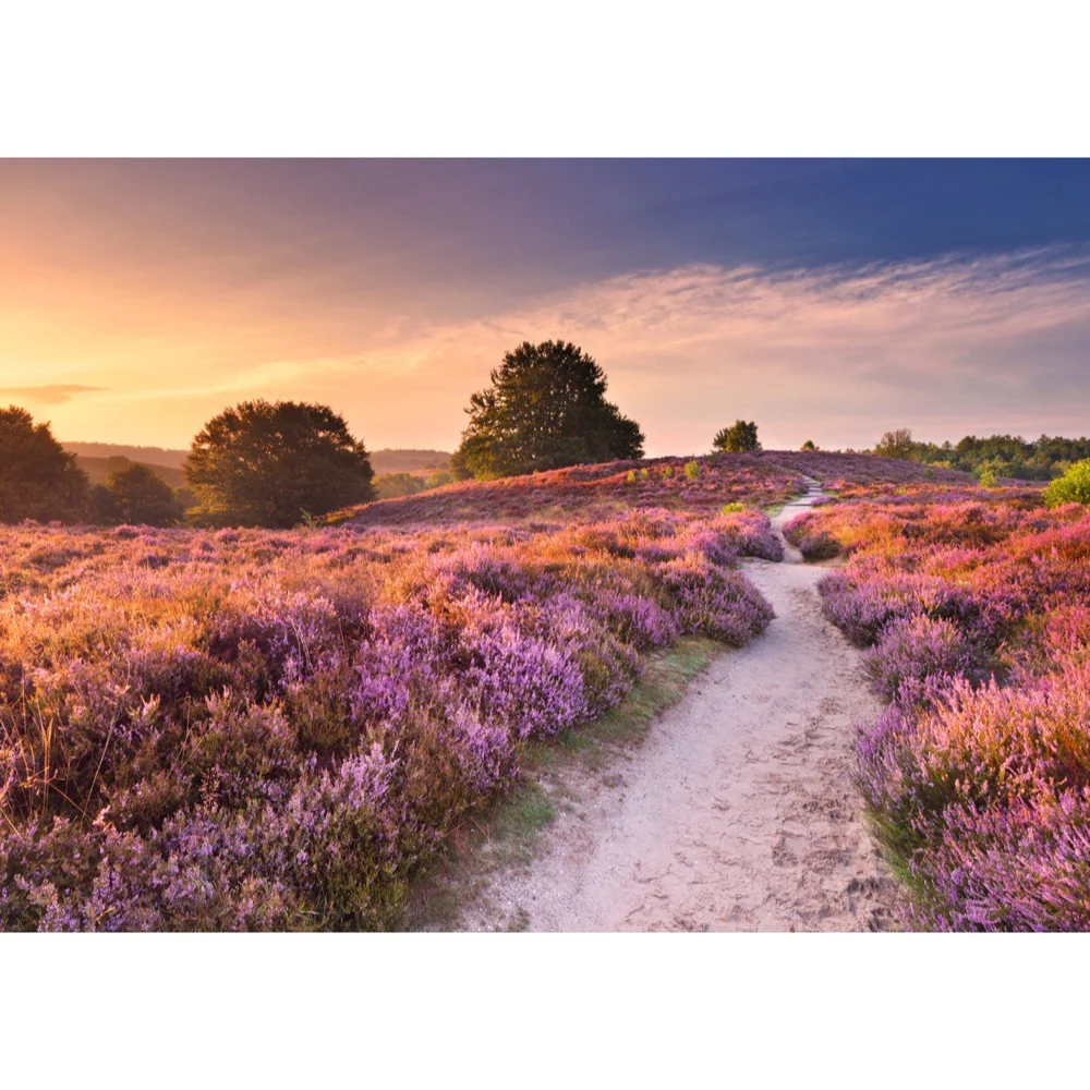 Ravensburger 01763-9 Pink Pathway 1000pc Jigsaw Puzzle - Image 2