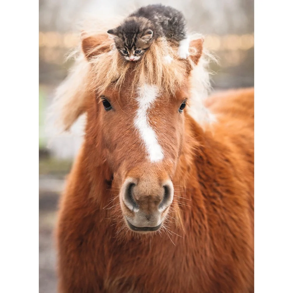 Ravensburger 01901-5 The Little Rider 500pc Jigsaw Puzzle - Image 2