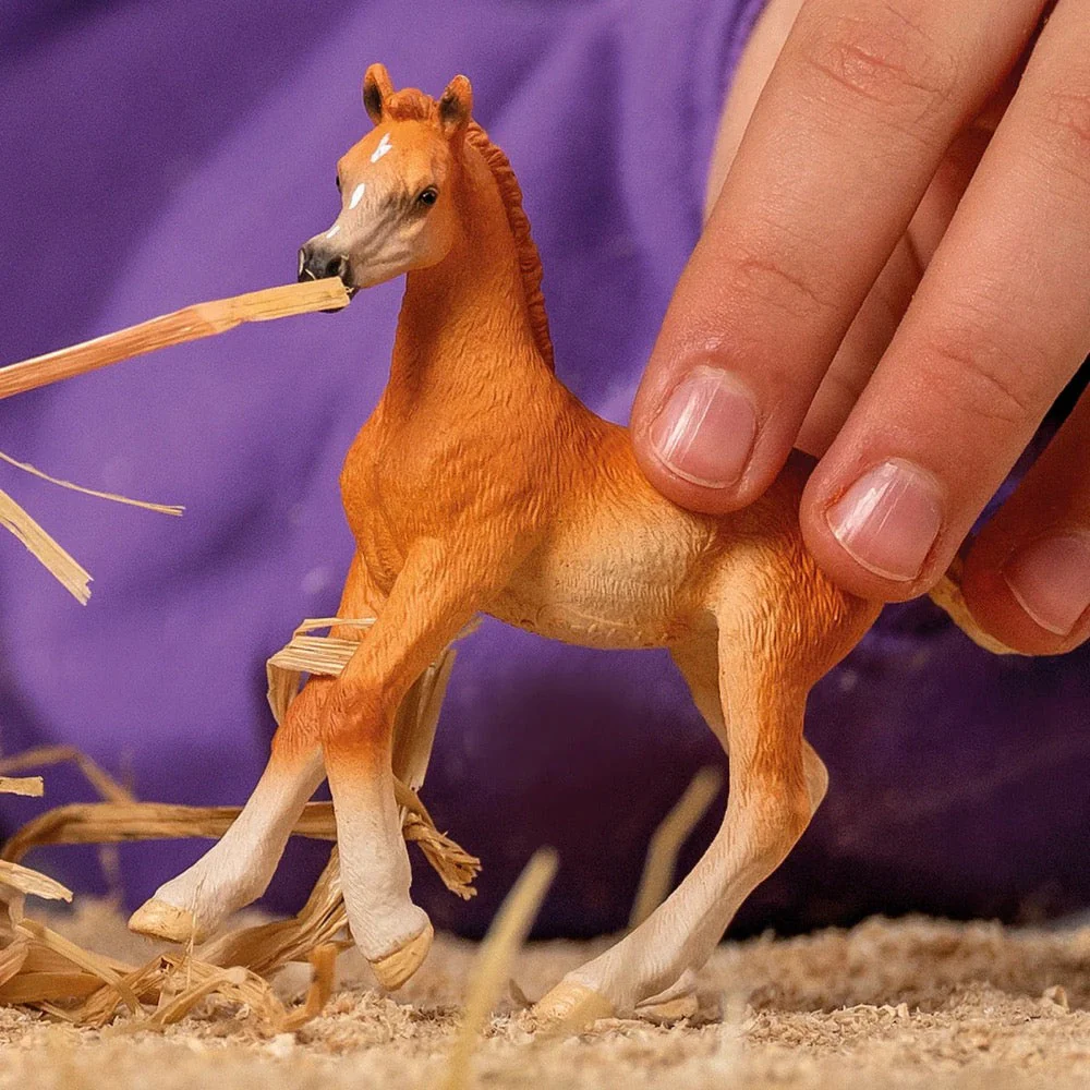 Schleich 13984 Arab Foal - Image 2