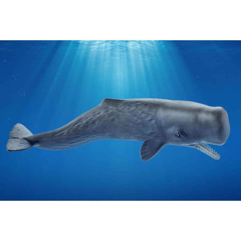 Schleich 14764 Sperm Whale - Image 2