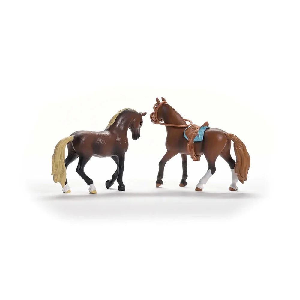 Schleich 42738 Horse Club Starter Set - Image 2