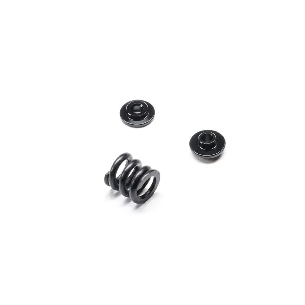 TLR 1131 Slipper Spring Set 22X