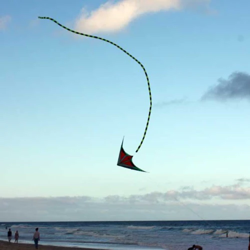 Windspeed 7701 10m Tubular Kite Tail